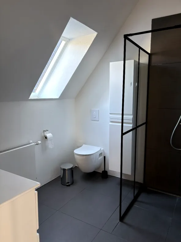 Moderne badeværelse